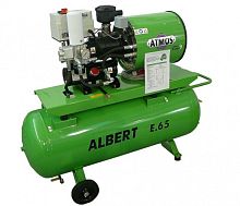 Albert E 65-R 12